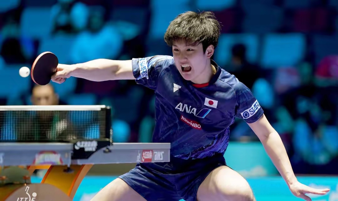 关于比利时乒乓球队力克日本乒乓球队，张本智和惊艳世界的信息