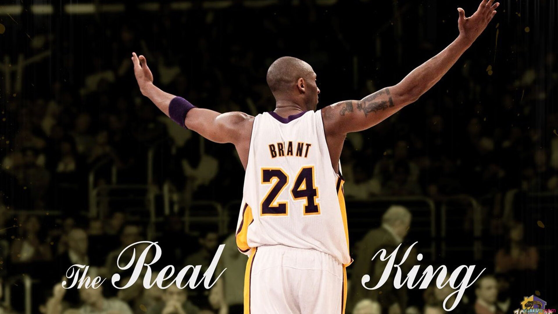 奥运周期关键战，灰熊粉碎掘金，一场定义赛季的焦点对决